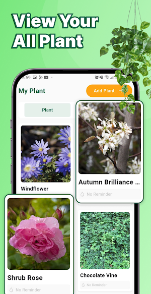 AI Plant Identifier: Tree Care Screenshot 3