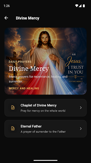 Catholic Prayers Screenshot 0