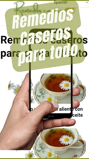 Remedios Caseros Para Todo Screenshot 3