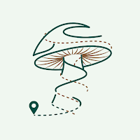 ForestPoint: Mushroom & Berry