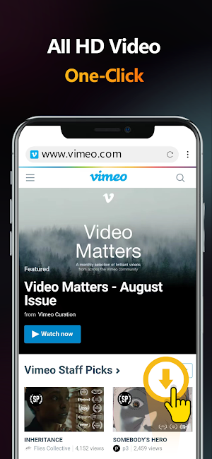 Private browse, download video Screenshot 2