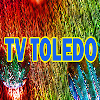 Web Tv Toledo Online