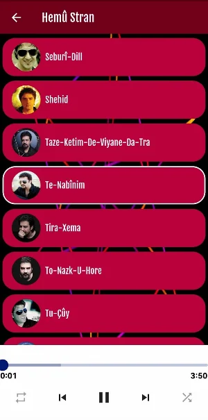 Karwan Kamil Screenshot 3