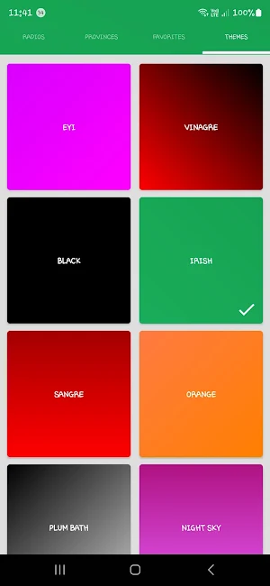 Ireland Radio Stations Screenshot 2