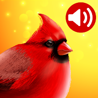 Bird Songs: Ringtones