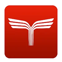 طاير
