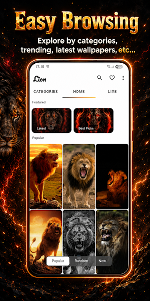Live Lion Wallpapers - 4K Screenshot 3