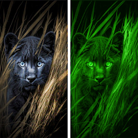 Night Vision Camera Filter