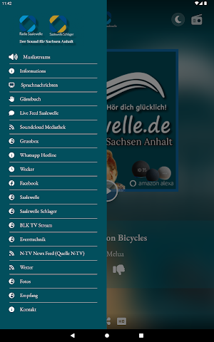 Saalewelle Screenshot 3