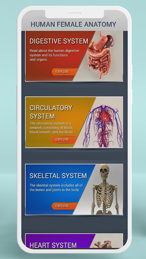 Female Anatomy3D Female Organs Screenshot 3