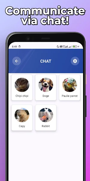 Funny Animals Fake Call & Chat Screenshot 2