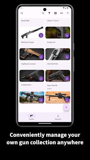 Arsenal Screenshot 0