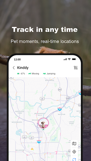 AQUITOYDOG Screenshot 2