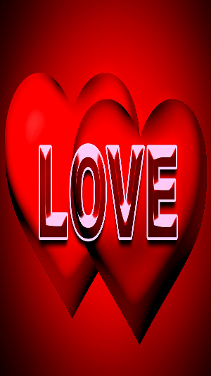 love details Screenshot 2