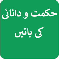 Hikmat Aur Danayi Ki Baatein