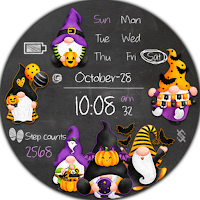 BFF54- Halloween Gnomes Witch