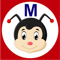 ladybug Merchant