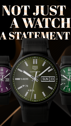 TAG HEUER CARRERA Smart Screenshot 2