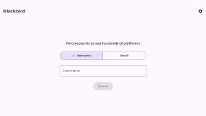 Blackbird OSINT Screenshot 2