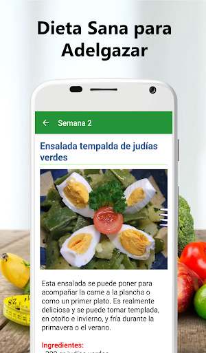 Dieta sana para adelgazar Screenshot 2