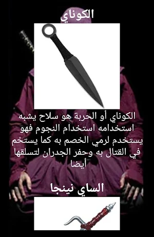 تعلم فن النينجا Screenshot 2