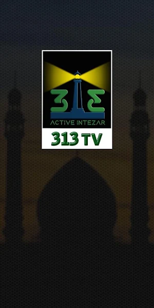 313 TV Screenshot 0