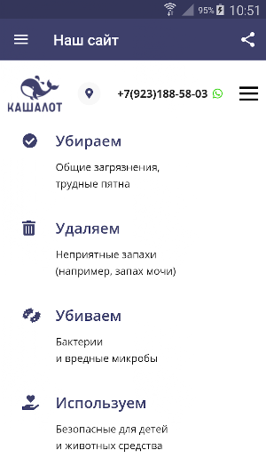Химчистка мебели НСК "Кашалот" Screenshot 1