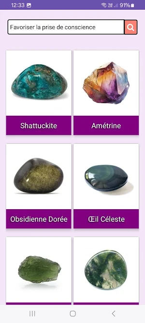 Gemmes et Zen Screenshot 3
