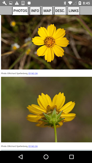 Delaware Wildflowers Screenshot 2