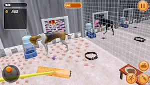 Animal Shelter Pet Life 3D Screenshot 1