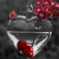 Heart Wallpapers HD
