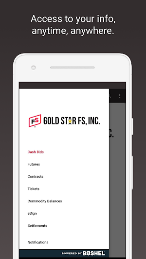 Gold Star FS Grain Screenshot 0