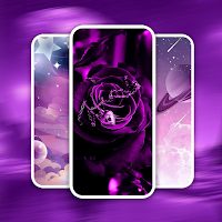 Dark Purple Aesthetic