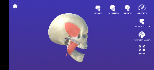 MisTMJ Screenshot 1