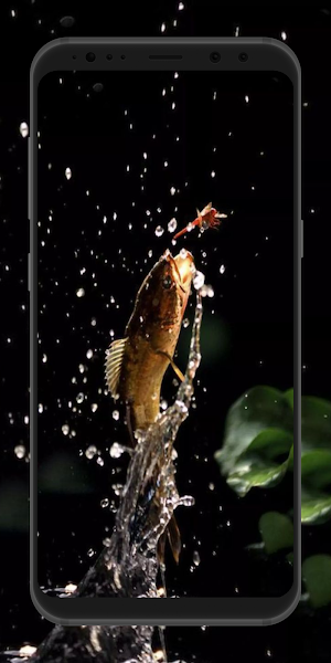 Channa Fish Wallpaper Screenshot 0