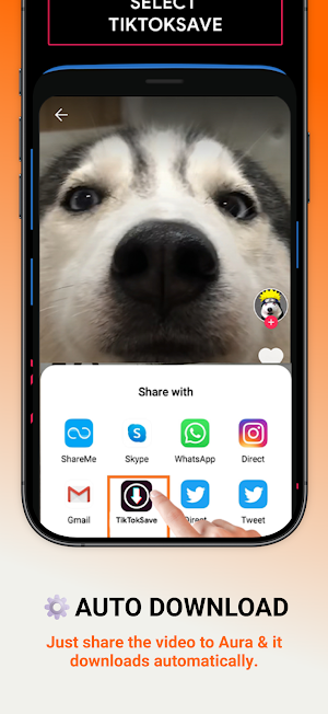 Aura Video Downloader: Save HD Screenshot 3