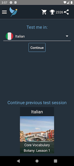 Italian Language Tests Screenshot 0