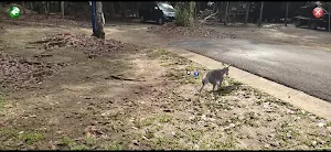 Peramun Hill Guide 3D Screenshot 3