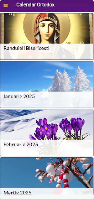Calendar Ortodox 2025 Screenshot 0