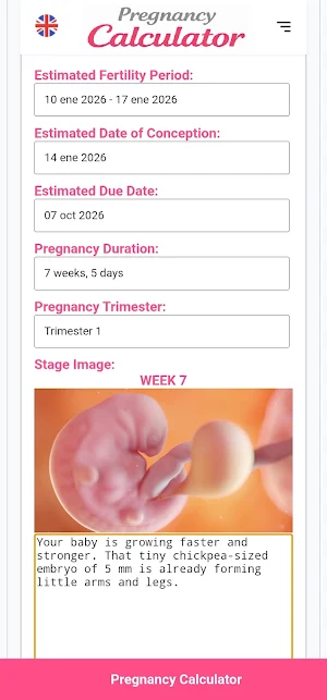 Pregnancy Calculator Screenshot 3