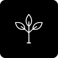 Ceentri