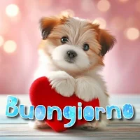 BUONGIORNO BUONA DOMENICA