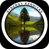 Synergy Kendiyas