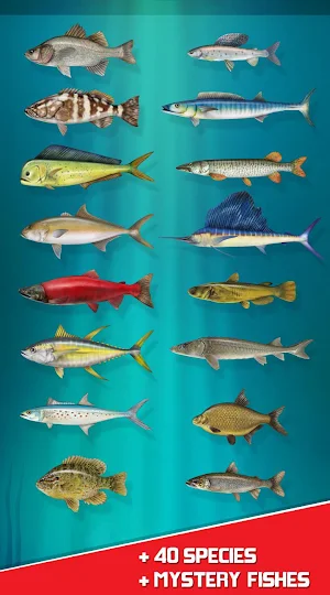 Real Reel Fishing Simulator : Ace Wild Catch 2018 Screenshot 2