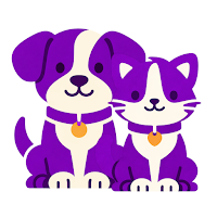 Fridz: Cuidados e Saúde Pet