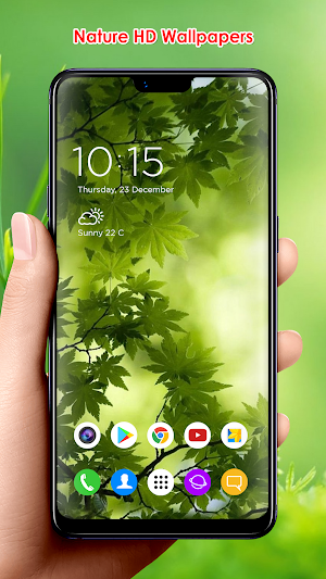 Nature HD Wallpapers Screenshot 3