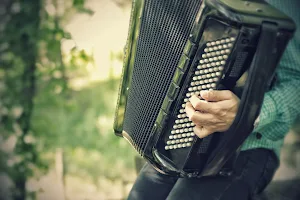 Accordion ringtone screenshot 2