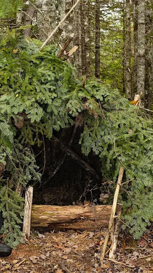 Wilderness Survival Wallpaper Screenshot 3