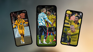 Borussia Dortmund Wallpapers Screenshot 2