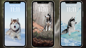 Husky Wallpapers 4K Screenshot 2